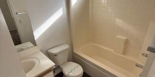 12071 W Dahlia  - 3 Bed, 2 Bath in El Mirage Gallery 15