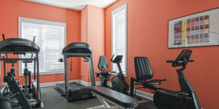 Summer Chase Gallery 4