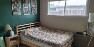 Cute 3 bedroom house in Gallery 18