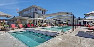 Le Mirage Gallery 16