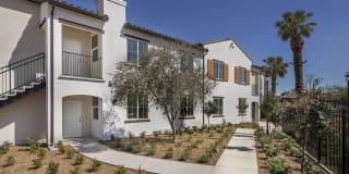 Harvest in Tracy Gallery 42