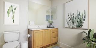 Renaissance Square Gallery 15