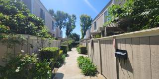 Village Walk: 3 Bedroom 2 Bath Attached Townhouse Village Walk: 3 Bedroom 2 Bath Attached Townhouse Gallery 11