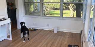 50 Stanley Rd. Gallery 8