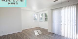 Golden Pacific Gallery 1