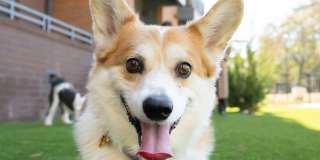 Bennet at BullStreet Gallery 6