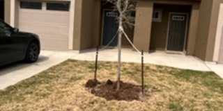 6315 Luglio Lane #102, San Antonio, TX 78233 Gallery 40