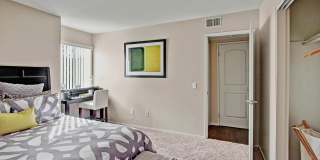 Castlepark Gallery 12