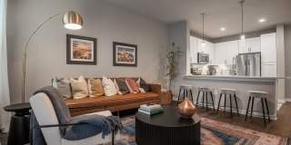 Can Plant Gallery 10