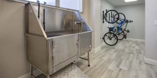 The Indigo Gallery 12