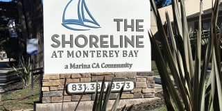 Shoreline Apartments Gallery 10