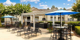 Abberly Grove Gallery 17