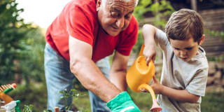 Album Marana 55+ Active Adult Gallery 31