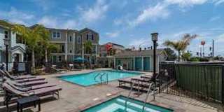 512 Surfbird Lane Gallery 15