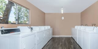 Pinecrest Apartment Homes Gallery 10