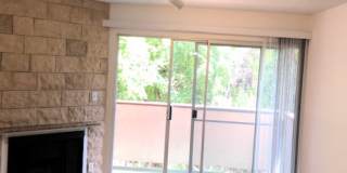 5320 Whitsett Avenue Gallery 3