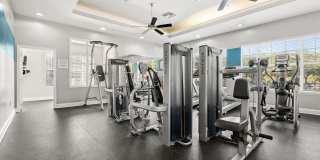 Avenue at Timberlin Park Gallery 13