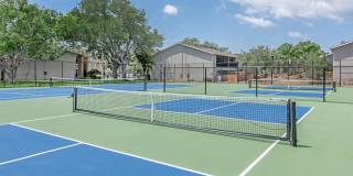 Solana Vista Gallery 25