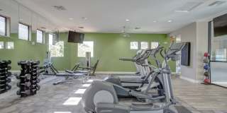 Monte Viejo Gallery 27