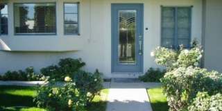 p515 Gallery 1