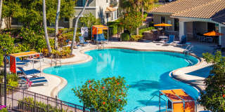 San Merano at Mirasol Gallery 17