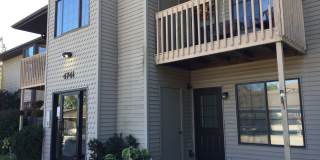 PINEVIEW Gallery 1
