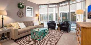 Cosmopolitan Condominiums ~ South Lake Union Gallery 7