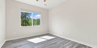 31042 Wildwoods Gallery 12