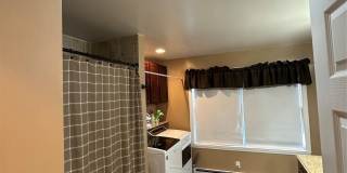 12 Green Lane Gallery 14