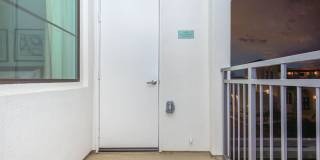 Vineyards Gallery 125