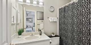 River Oaks Gallery 12