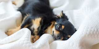 Elevation San Tan Gallery 21