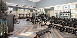 The Arden Gallery 17