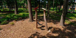 Franklin Park at Greenbelt Station Gallery 7