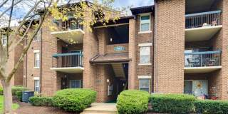 7903 CORIANDER Drive Gallery 1