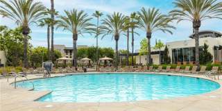 Coming soon - Single-Level 2-Bedroom Condo in the Prestigious South Bay 360 Community! Gallery 23