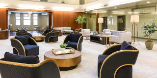 The Standard The Standard Gallery 37