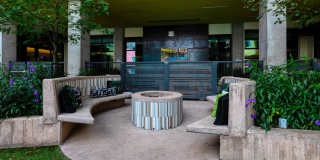 Agave 350 Gallery 45