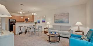 Swan Creek Gallery 1