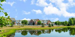 Albany Glen Gallery 19