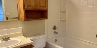 Cute House with Amazing Yard! Gallery 8