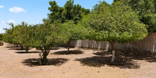 Stone Canyon Gallery 36