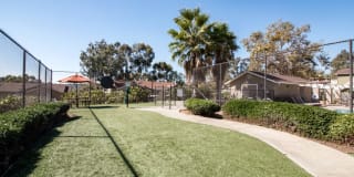 Lakeview Village Gallery 19