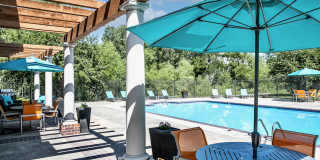 Autumn Grove Gallery 4