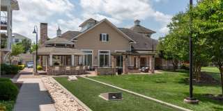 Red Knot at Edinburgh Gallery 10