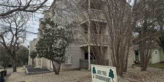 1013 Chestnut Street unit: C6 Gallery 1