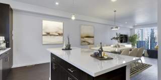Platt Park Townhomes Gallery 11