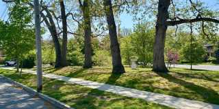 1305 Locust Drive Gallery 28