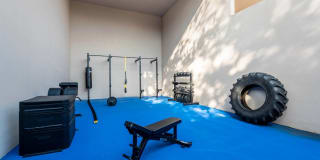 Whisper Lake Gallery 29