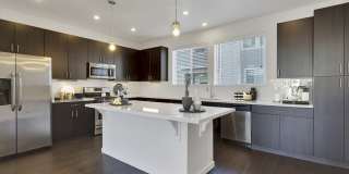 Platt Park Townhomes Gallery 8